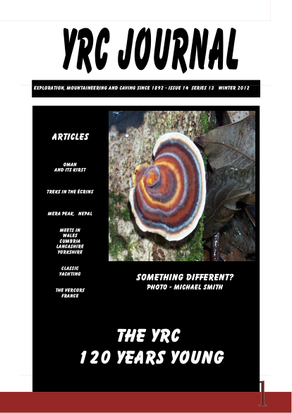 YRCJ 2012; 13(14) cover